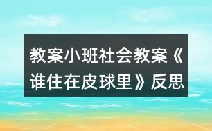 教案小班社會教案《誰住在皮球里》反思