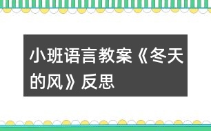 小班語言教案《冬天的風(fēng)》反思