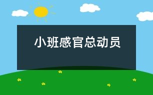 小班：感官總動員