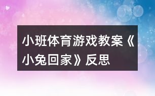 小班體育游戲教案《小兔回家》反思