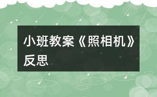 小班教案《照相機》反思