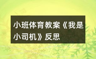 小班體育教案《我是小司機(jī)》反思