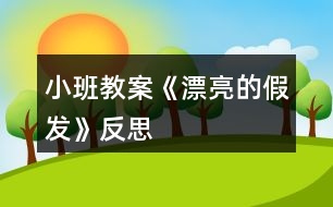 小班教案《漂亮的假發(fā)》反思