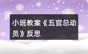 小班教案《五官總動員》反思