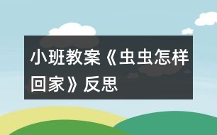 小班教案《蟲蟲怎樣回家》反思