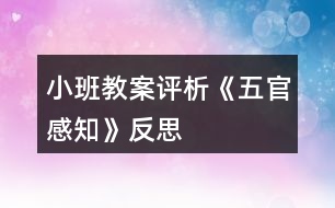 小班教案評析《五官感知》反思