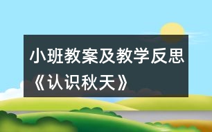 小班教案及教學反思《認識秋天》