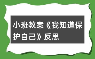 小班教案《我知道保護自己》反思