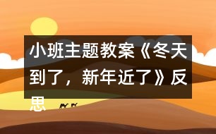 小班主題教案《冬天到了，新年近了》反思