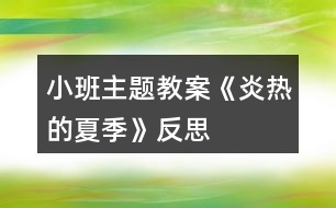 小班主題教案《炎熱的夏季》反思