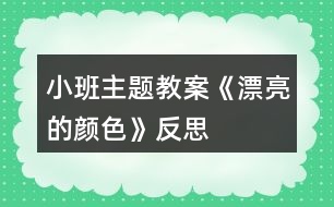 小班主題教案《漂亮的顏色》反思