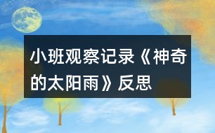 小班觀察記錄《神奇的太陽雨》反思