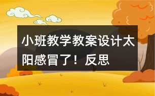 小班教學(xué)教案設(shè)計(jì)太陽感冒了！反思