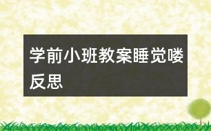 學前小班教案睡覺嘍反思