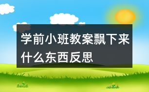 學(xué)前小班教案飄下來(lái)什么東西反思