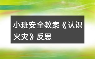 小班安全教案《認識火災(zāi)》反思