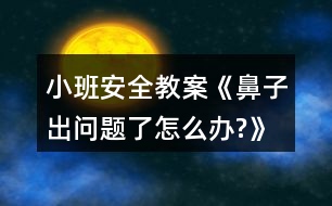 小班安全教案《鼻子出問題了,怎么辦?》反思