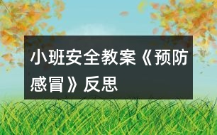 小班安全教案《預防感冒》反思