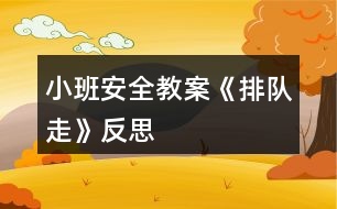 小班安全教案《排隊走》反思