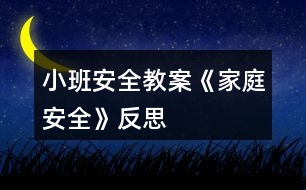 小班安全教案《家庭安全》反思