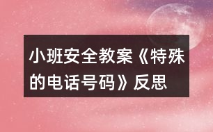 小班安全教案《特殊的電話號(hào)碼》反思