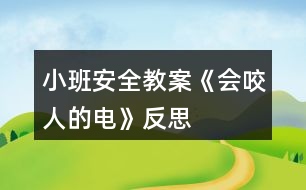 小班安全教案《會咬人的電》反思