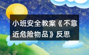 小班安全教案《不靠近危險物品》反思