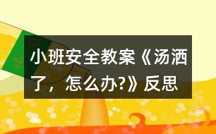 小班安全教案《湯灑了，怎么辦?》反思