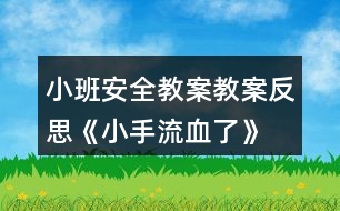 小班安全教案教案反思《小手流血了》