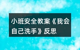 小班安全教案《我會(huì)自己洗手》反思