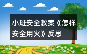 小班安全教案《怎樣安全用火》反思