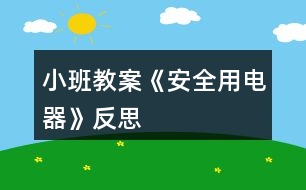 小班教案《安全用電器》反思