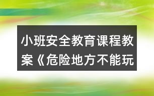 小班安全教育課程教案《危險(xiǎn)地方不能玩》反思