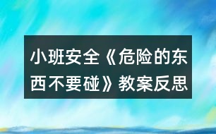 小班安全《危險(xiǎn)的東西不要碰》教案反思