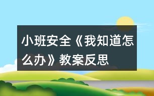 小班安全《我知道怎么辦》教案反思