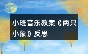 小班音樂教案《兩只小象》反思