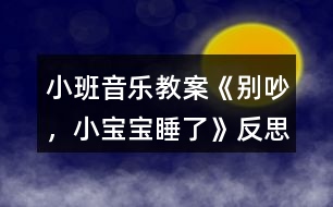 小班音樂教案《別吵，小寶寶睡了》反思