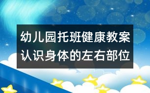 幼兒園托班健康教案：認(rèn)識身體的左右部位(原創(chuàng))