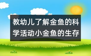 教幼兒了解金魚的科學(xué)活動：小金魚的生存環(huán)境（原創(chuàng)）