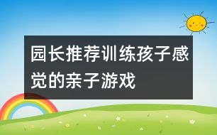 園長(zhǎng)推薦訓(xùn)練孩子感覺(jué)的親子游戲