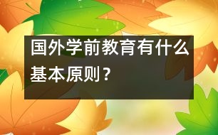 國外學(xué)前教育有什么基本原則？　　　　　　　　　　