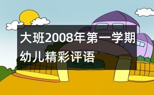 大班2008年第一學(xué)期幼兒精彩評(píng)語