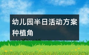 幼兒園半日活動方案：種植角