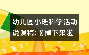 幼兒園小班科學活動說課稿:《掉下來啦》