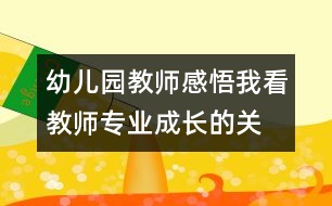 幼兒園教師感悟：我看“教師專業(yè)成長的關鍵因素”