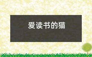 愛(ài)讀書(shū)的貓