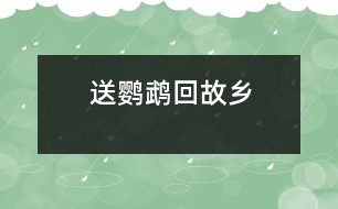 送鸚鵡回故鄉(xiāng)