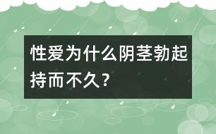 性愛：為什么陰莖勃起持而不久？