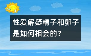 性愛解疑：精子和卵子是如何相會的？