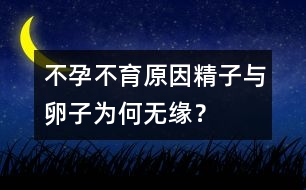 不孕不育原因：精子與卵子為何無緣？